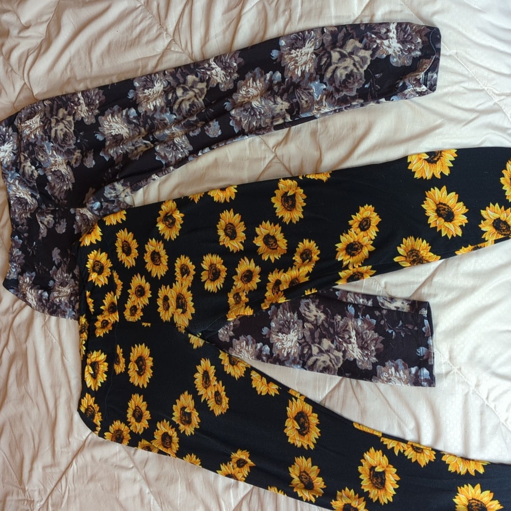 Charlie's Project Leggings 2 pair